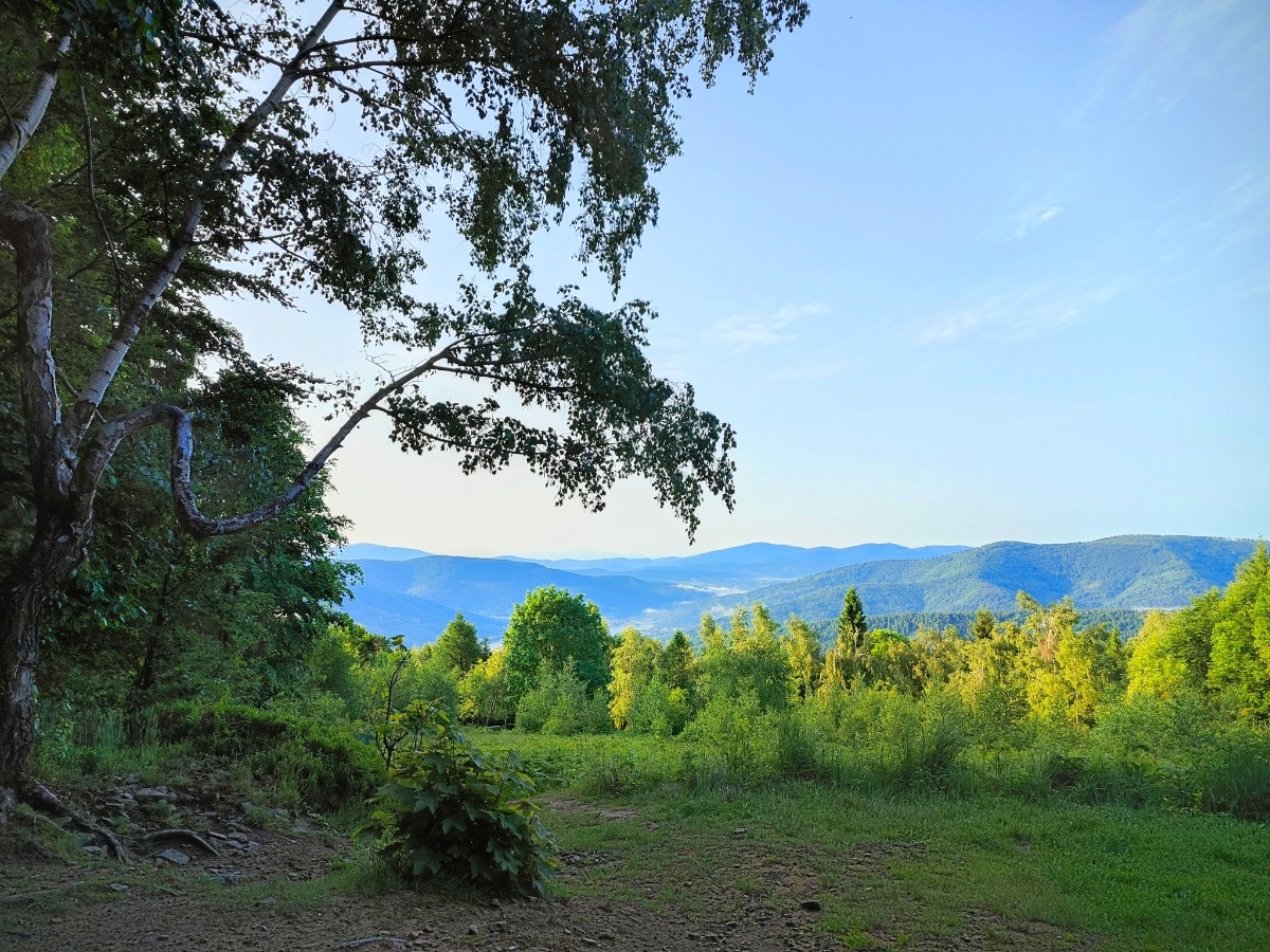 b8923369-6c92-44ee-9d6e-bfc80e490b13