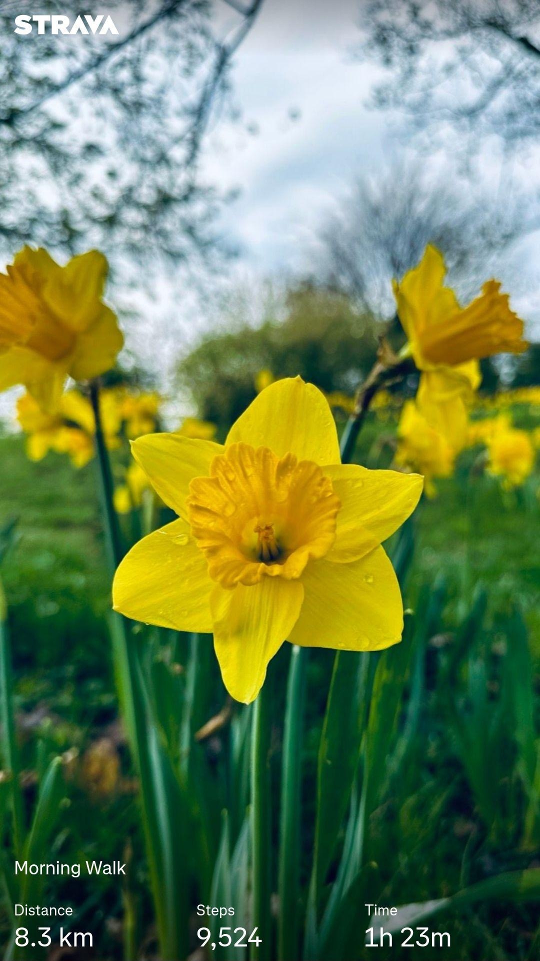 b8110339-aa66-459c-a3e4-965380bb8169