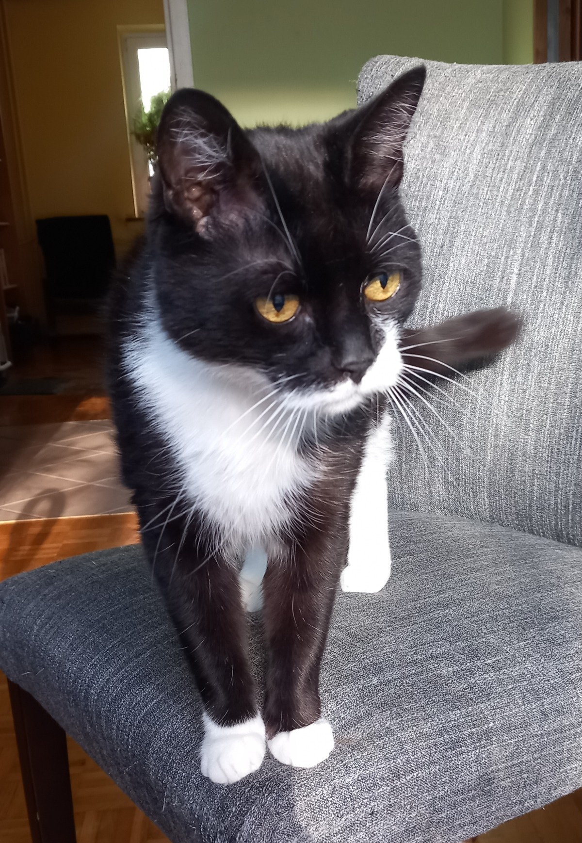 268bf58f-f9ad-4ed0-94ef-e5ee5308e33b