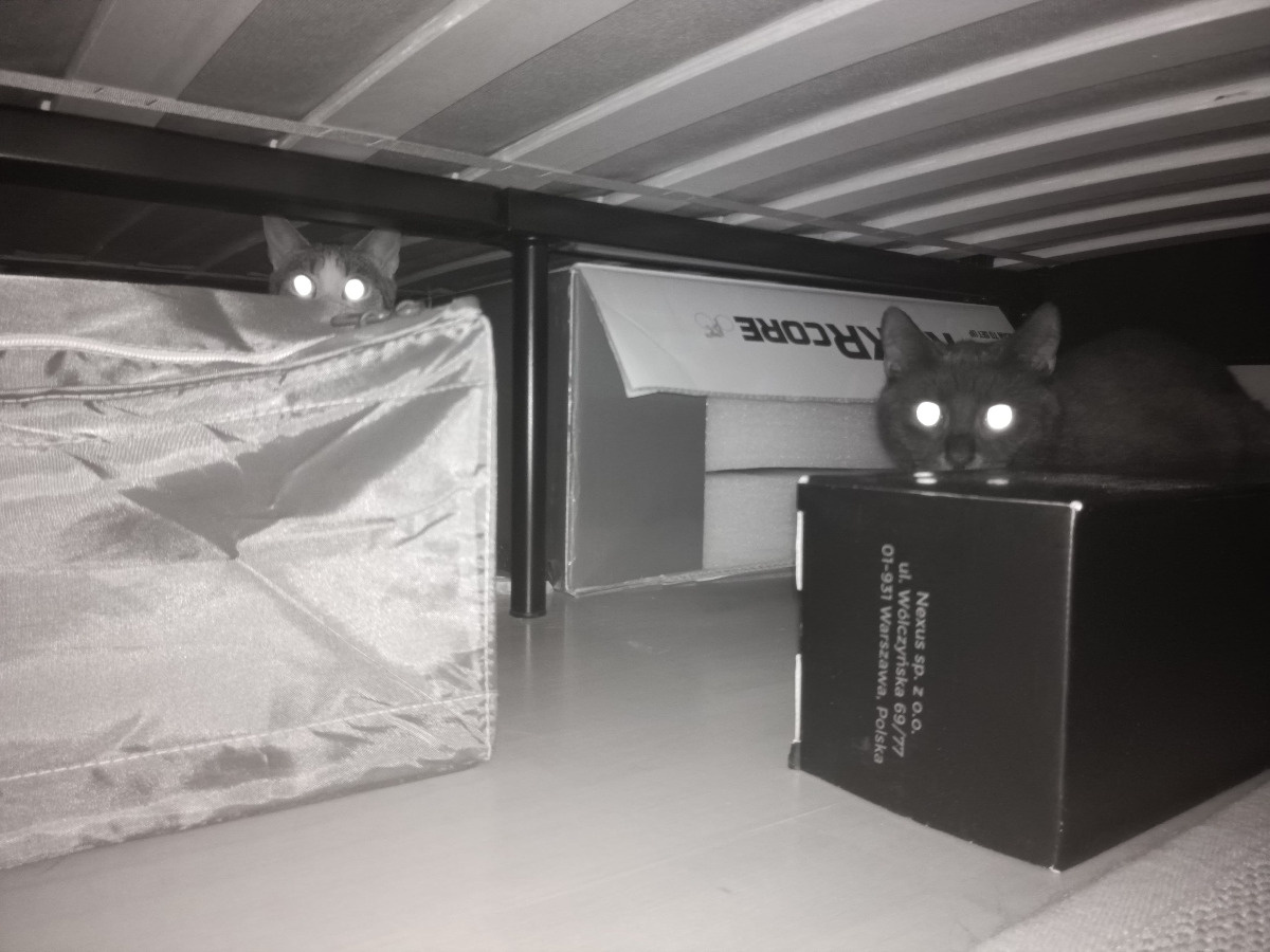 2dd27060-3011-4052-97a8-9edc7c5f2791