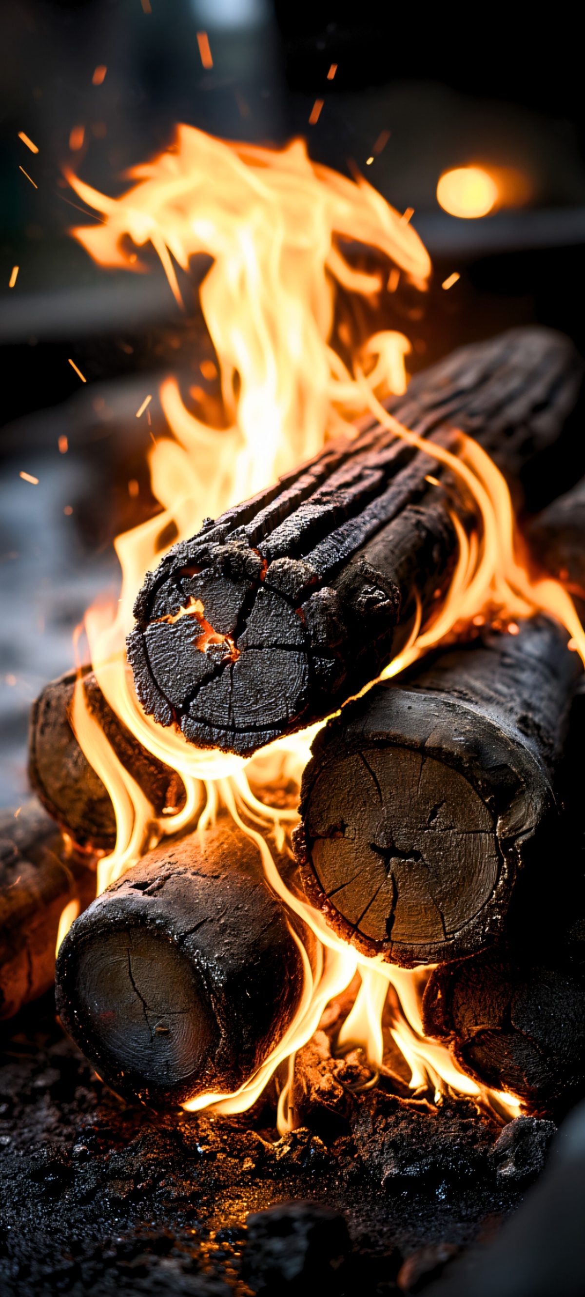 1768cdf9-7f63-48ed-93ab-c58dda18c173