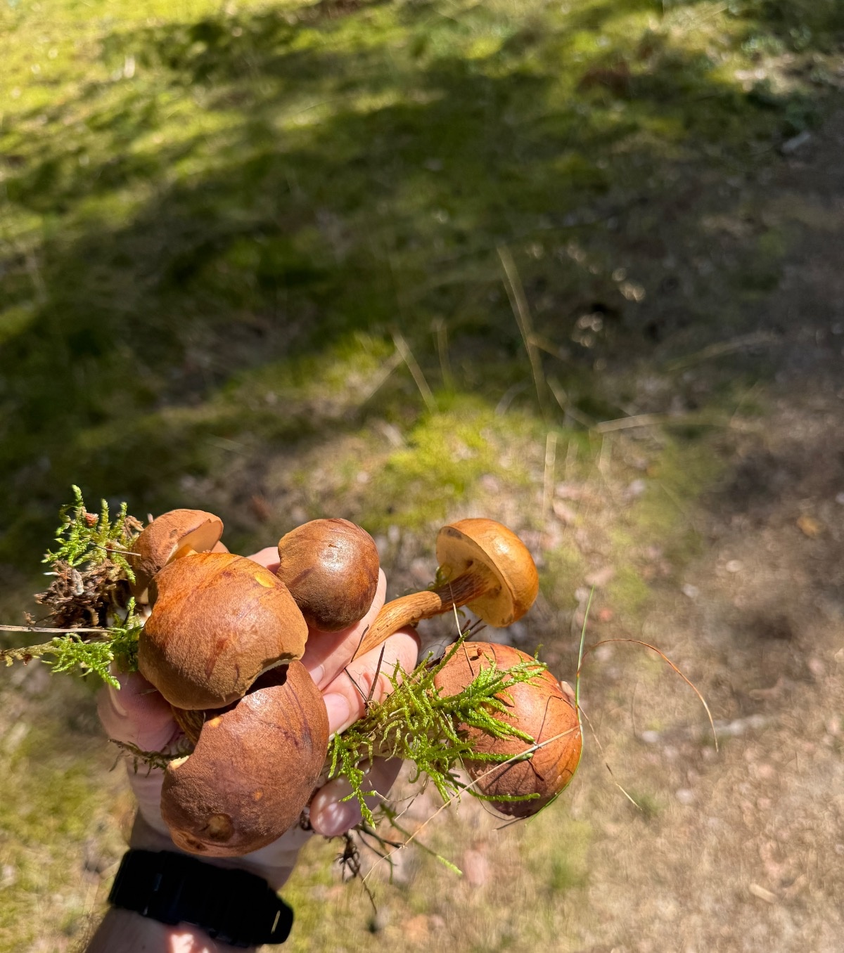 cad5c903-6386-42ac-933e-b7ca5e03ef56