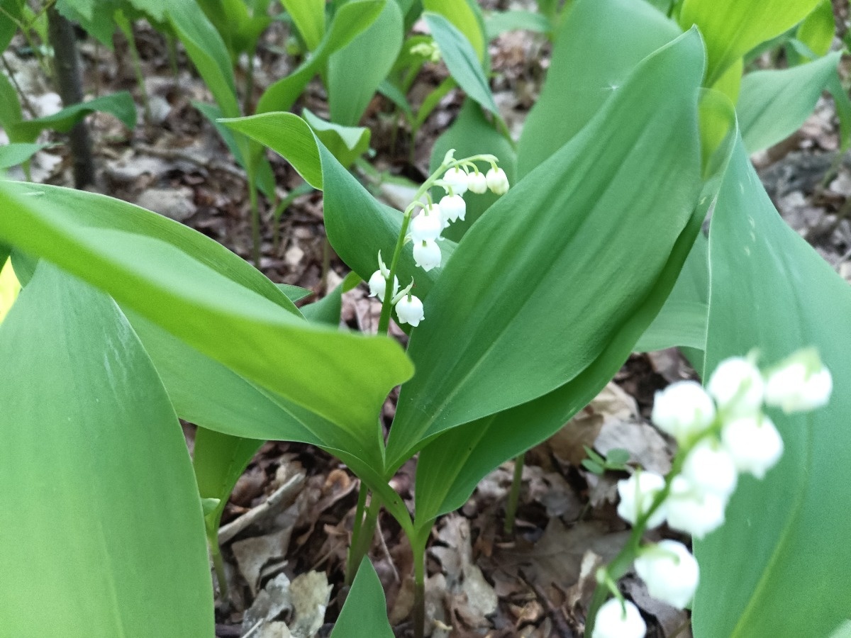 f7509f96-bffe-4789-a6c6-adba581083fc