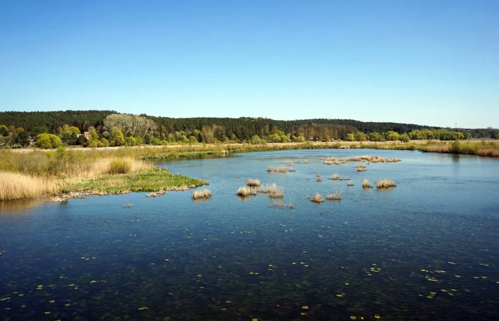 Radni Zachodniopomorskiego zgodzili się na utworzenie Parku Narodowego Doliny Dolnej Odry