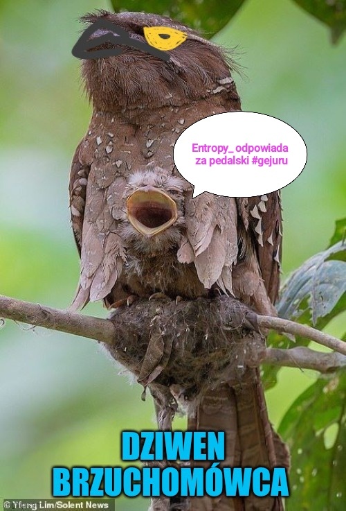 0cad8a30-e5a5-4cf5-a453-713ac94b9166