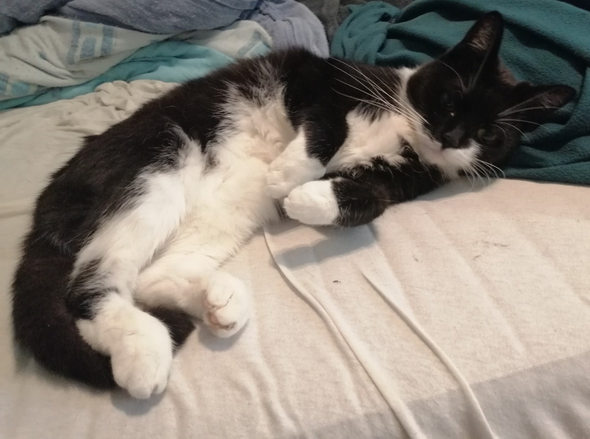 aa99223b-8ecb-4802-9d67-28741631a37b