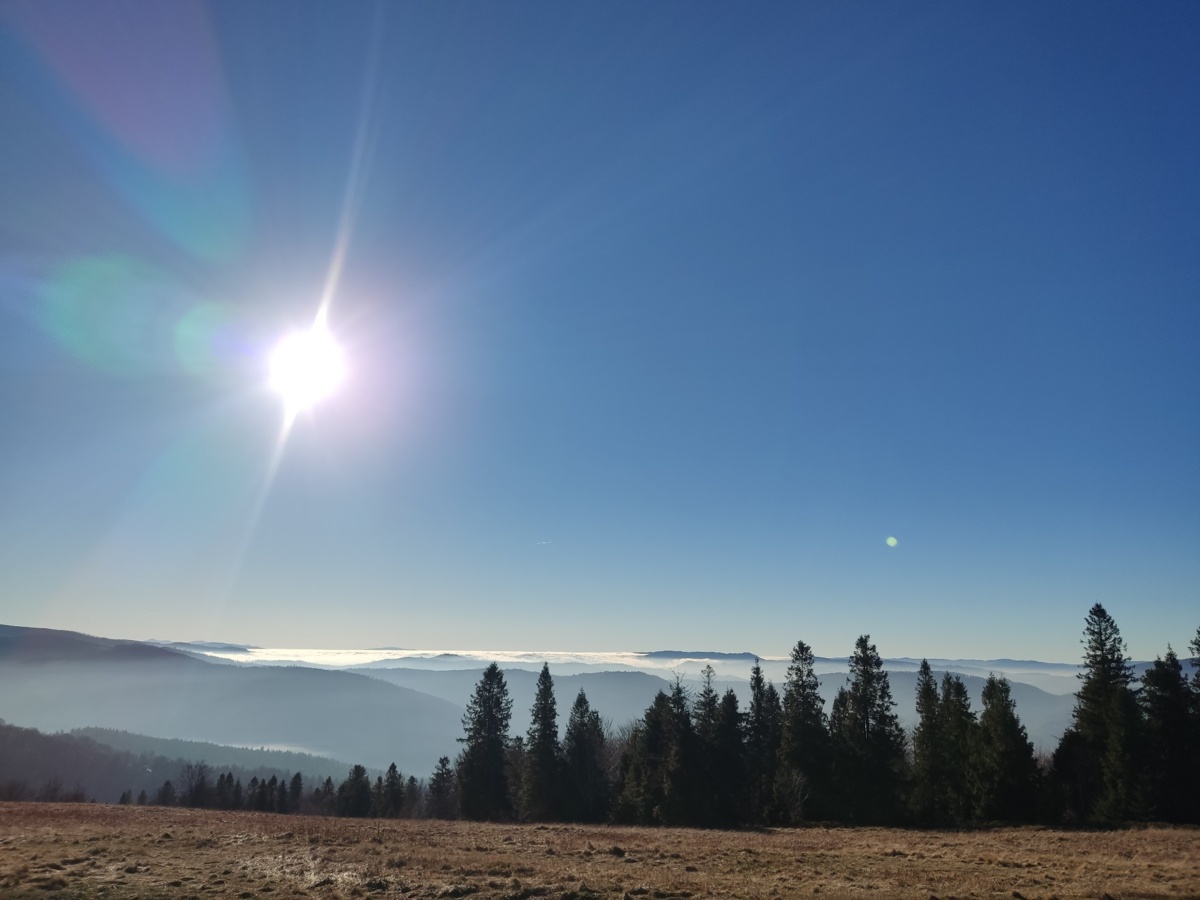 35852f9b-b73a-438e-8ec1-e9f438cce84b