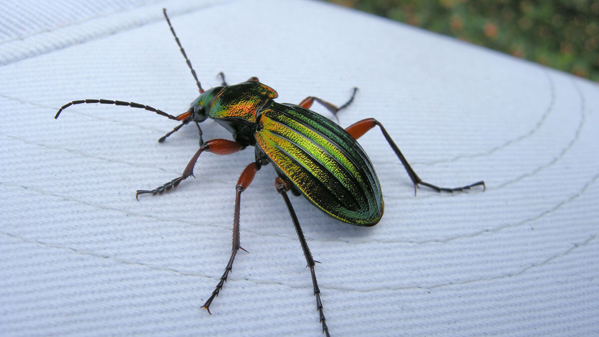 86b683b5-9450-413c-99c0-7510cba29477