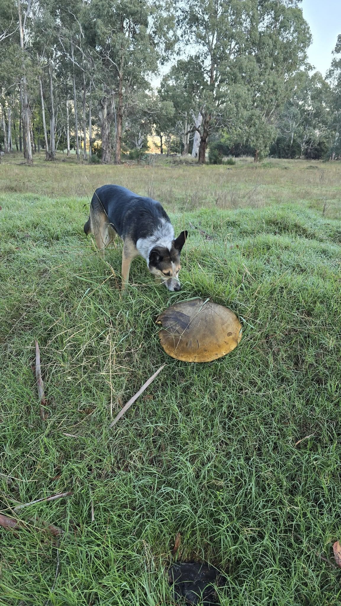 ca671317-1968-4b8b-af44-25225cfe0e4e