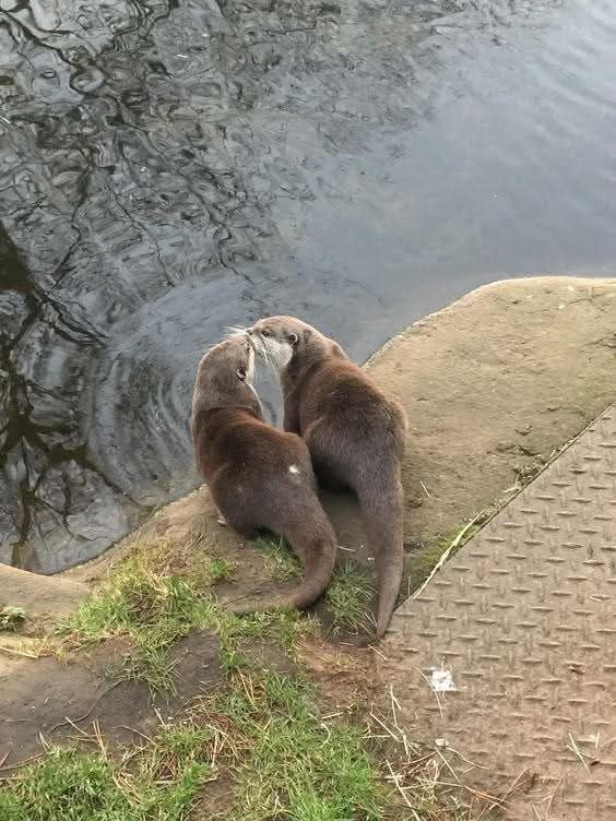 a1f587cc-1113-4fa6-89fa-44aa4e6f58ab