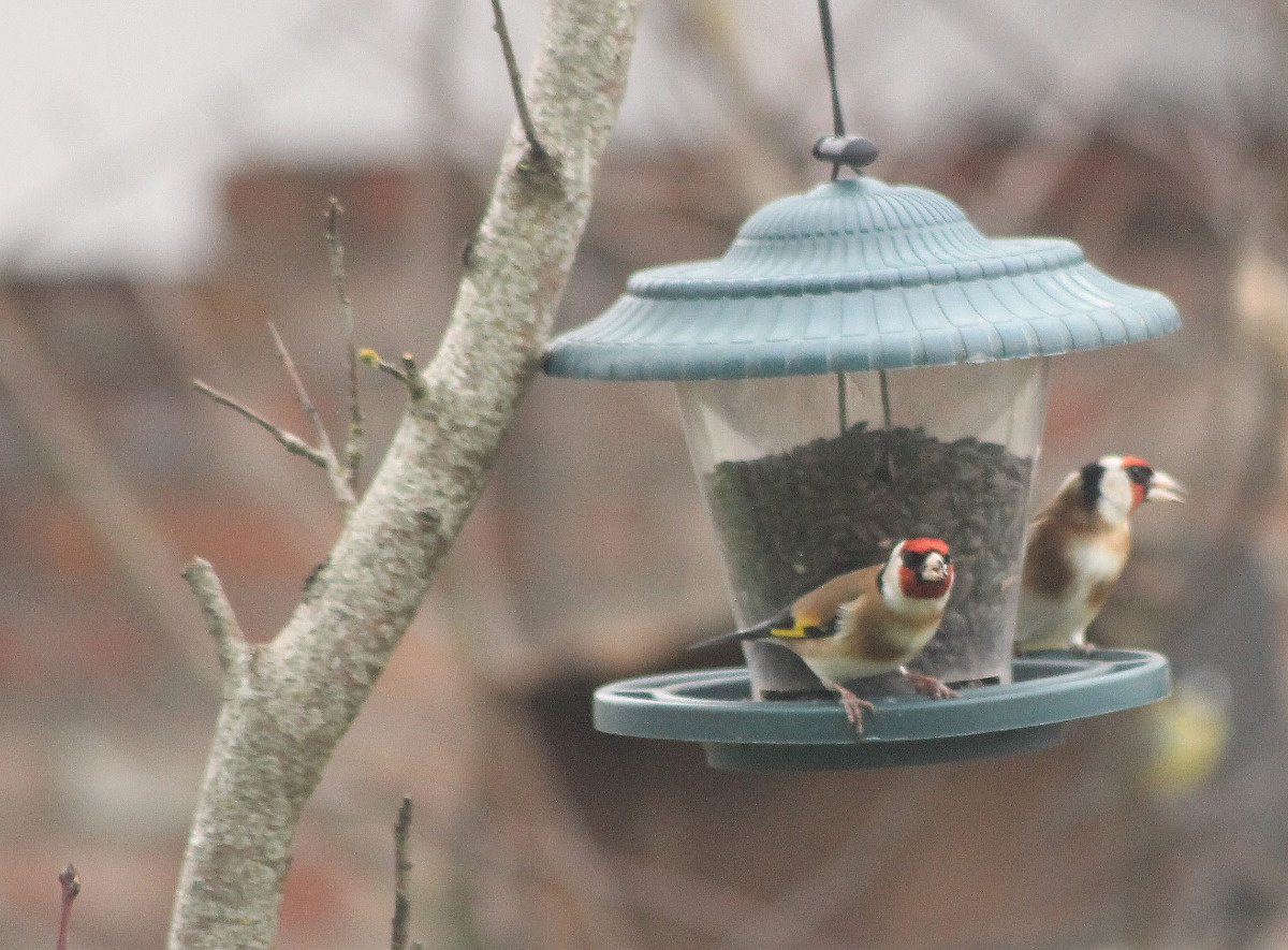 583732d8-ee39-4afc-861b-09a7ebc73ece