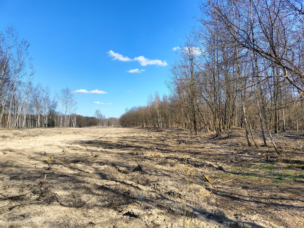 e767fe24-687e-45e0-8c03-8d8fdd8d6ff5