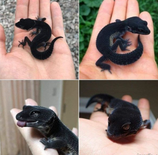 06727928-2fb3-4bcb-baeb-37c5329d9c84