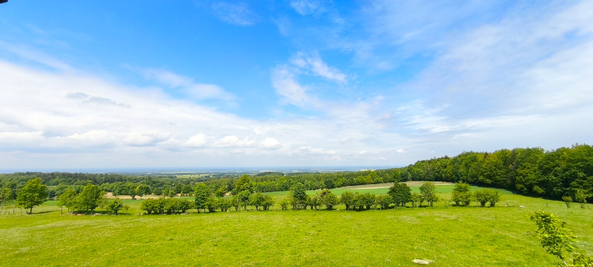 6d092f16-faba-470f-a48f-c63b9bd7d6e3