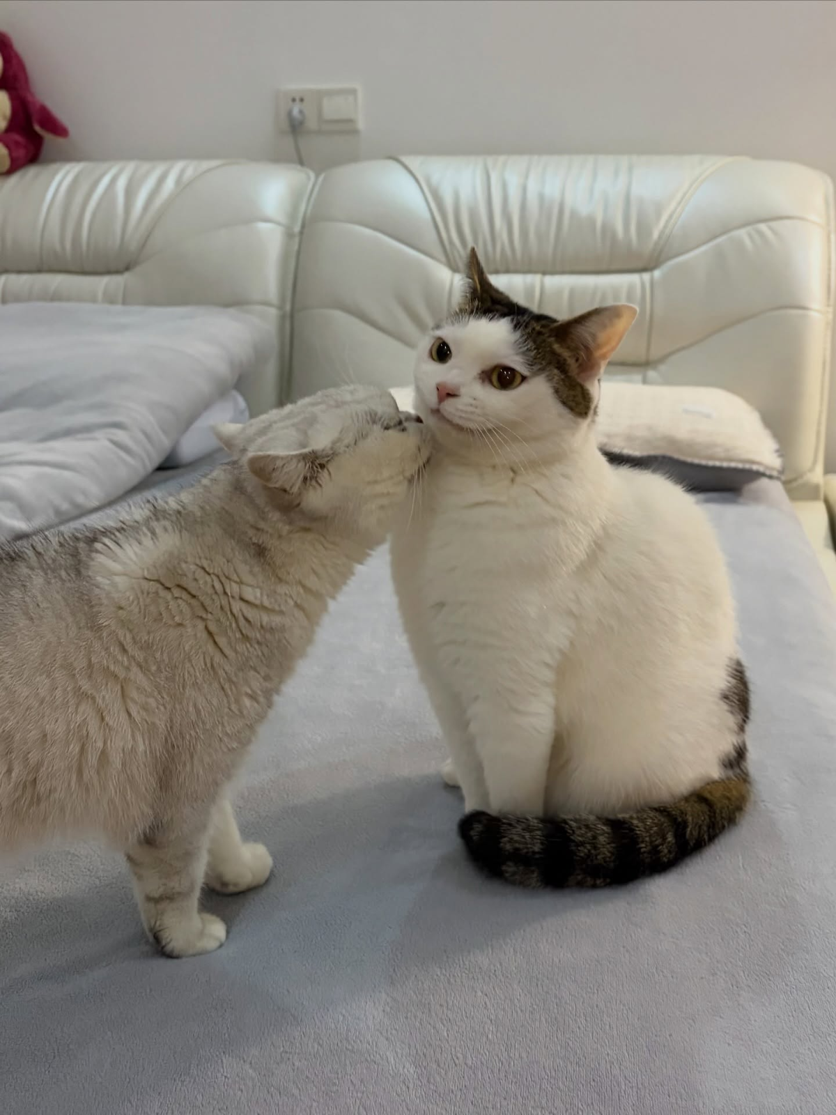 deeae2a6-573a-42e8-af9d-fceda269cda7