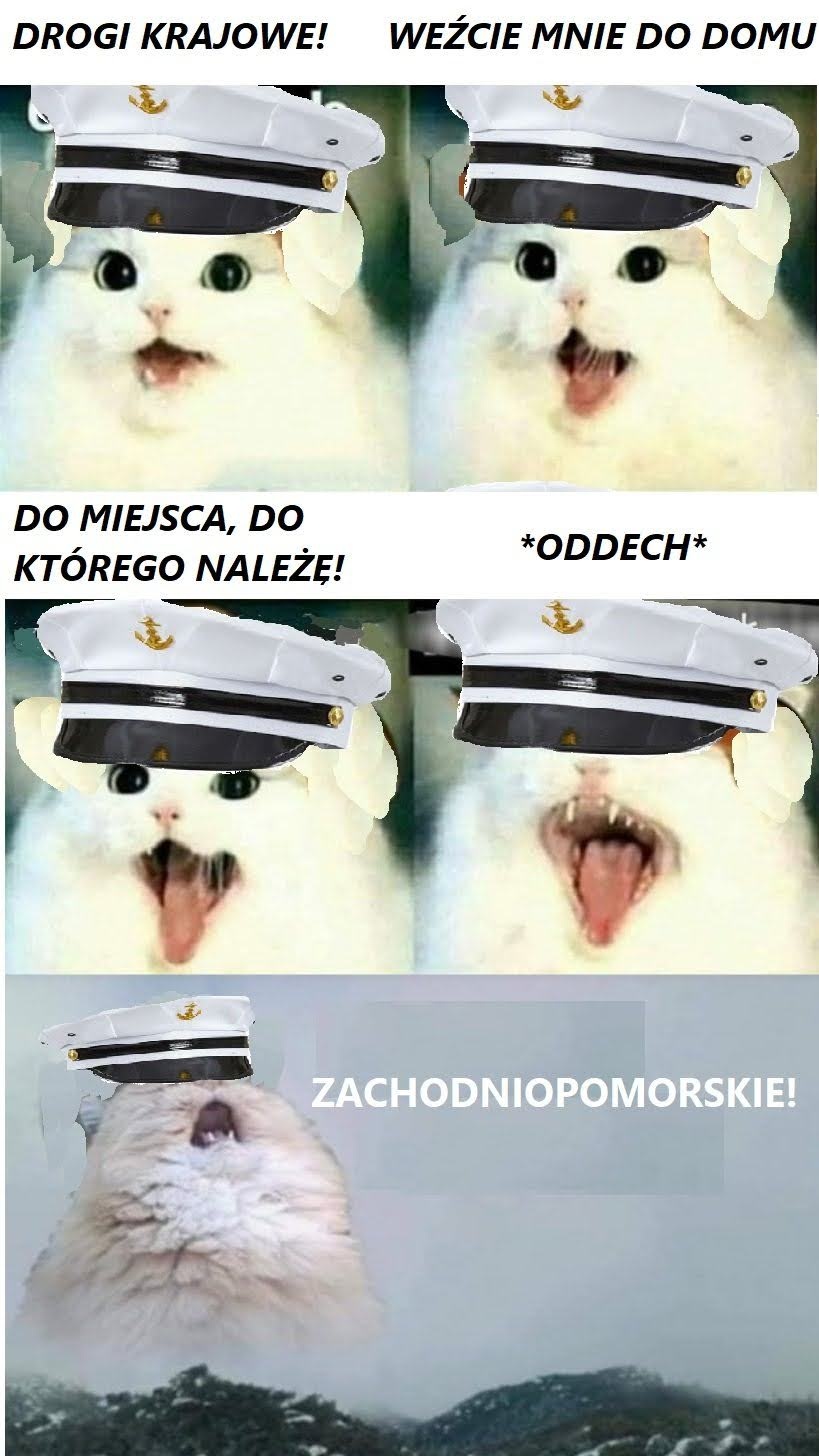 119974c4-9d51-4e20-9c1a-79fc45eb4058