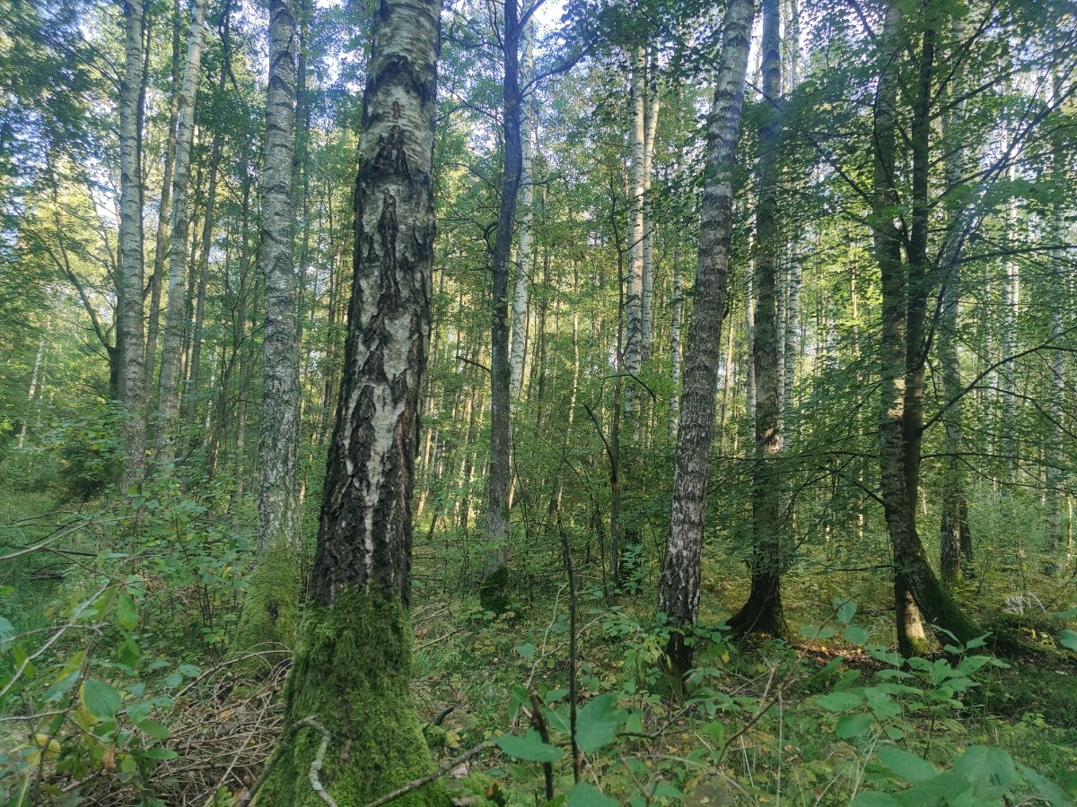 8c8b22ee-ee9b-4bf9-bb84-ddf958f10a05