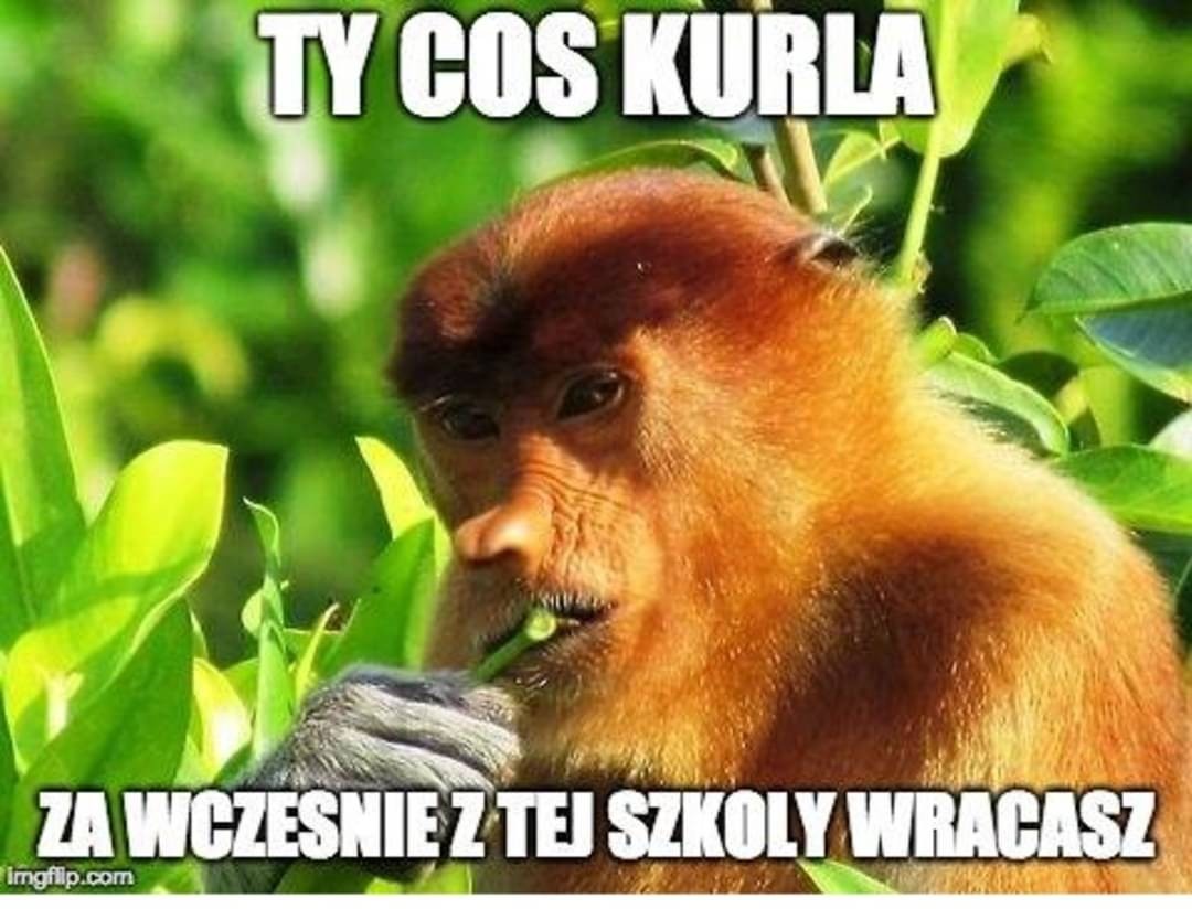 42e06c48-f30c-49ed-997f-acd9a5be1a85