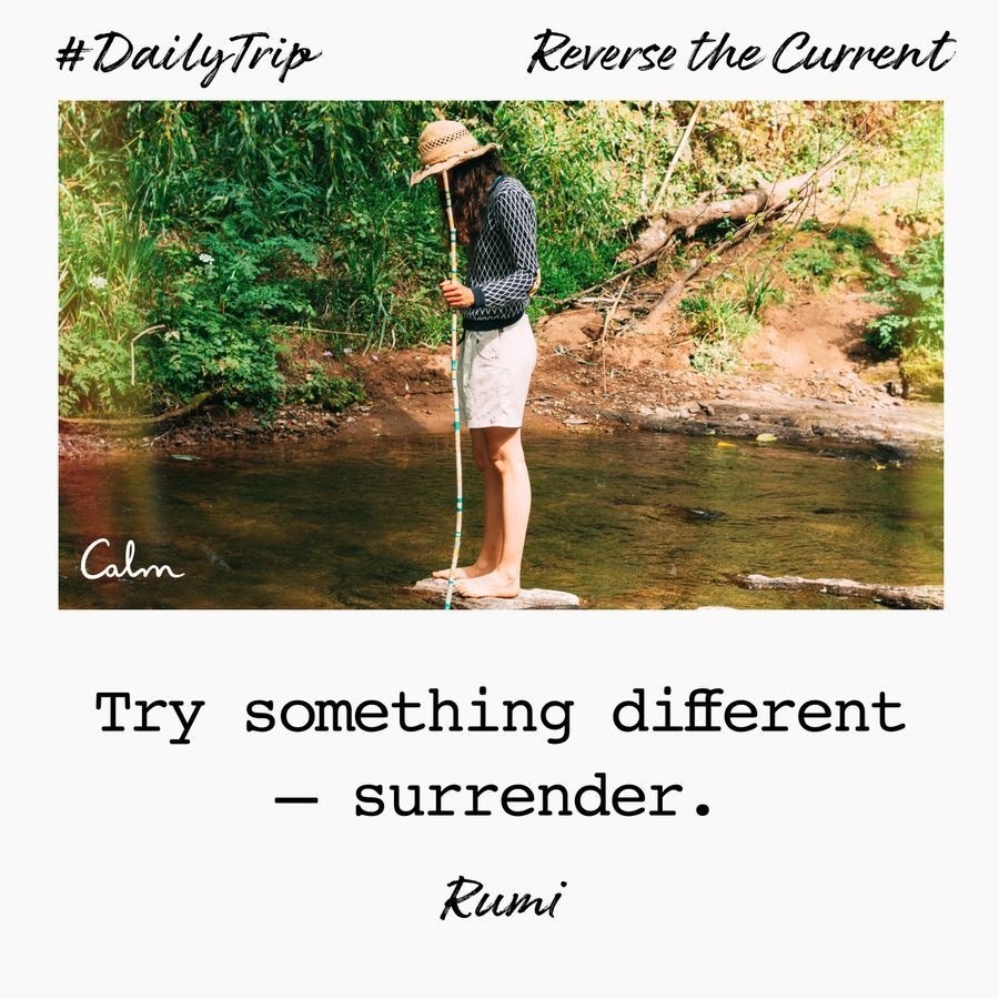 2449e144-14d2-49d4-96c1-c81665edf6d3