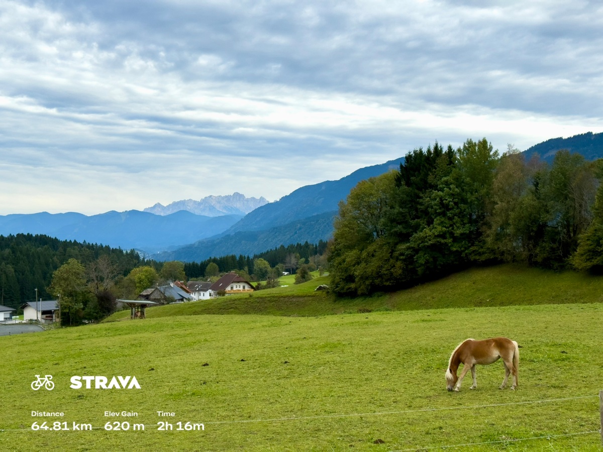 5b8c4bc7-7f25-4161-b8f0-b2f192775c93