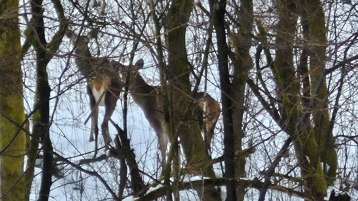 73733c5f-ee9b-449c-ad7a-3ae6a1ca6a91