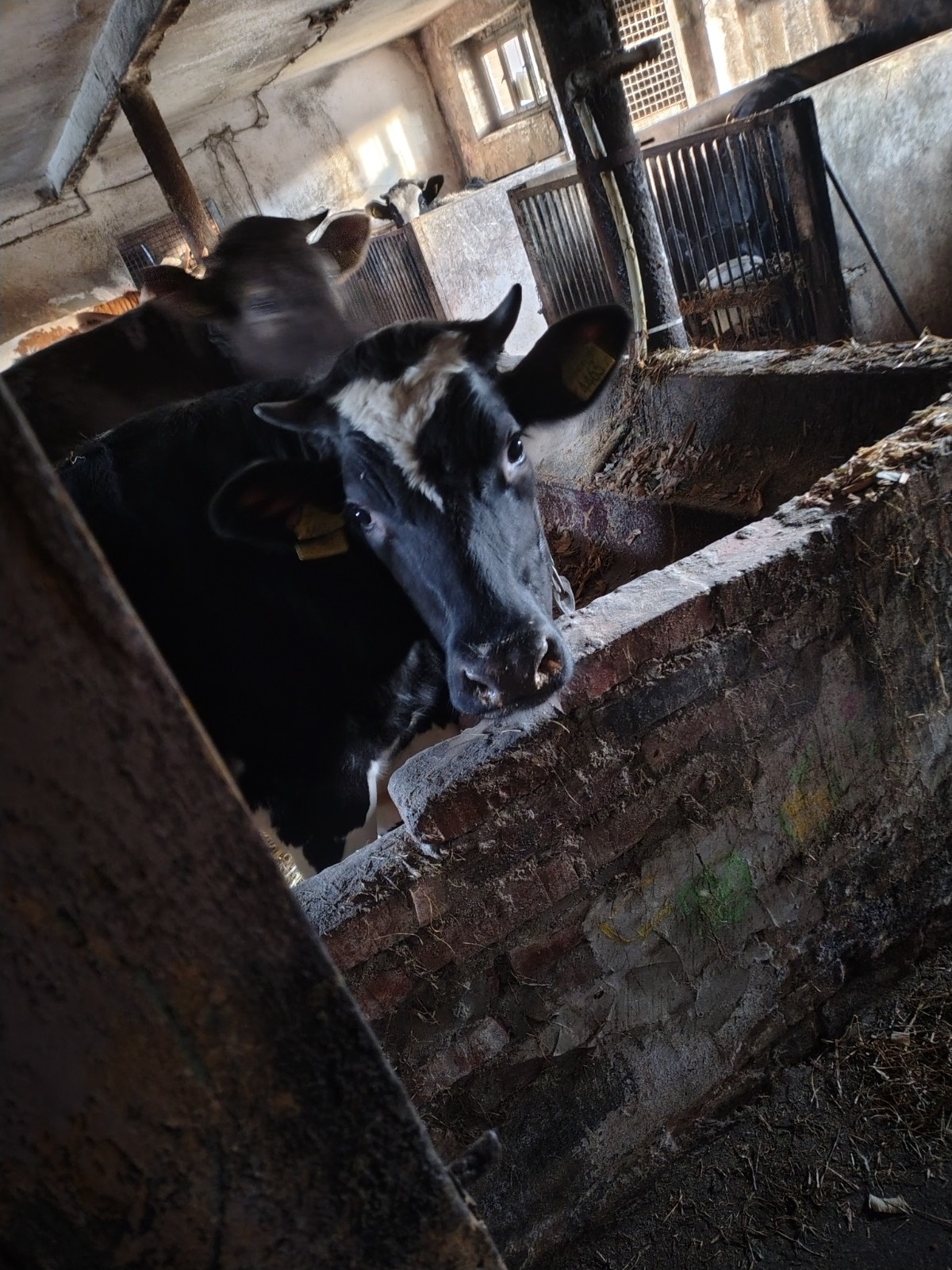 296fcfae-9566-4eaa-ae00-7bfd9fa7ed07