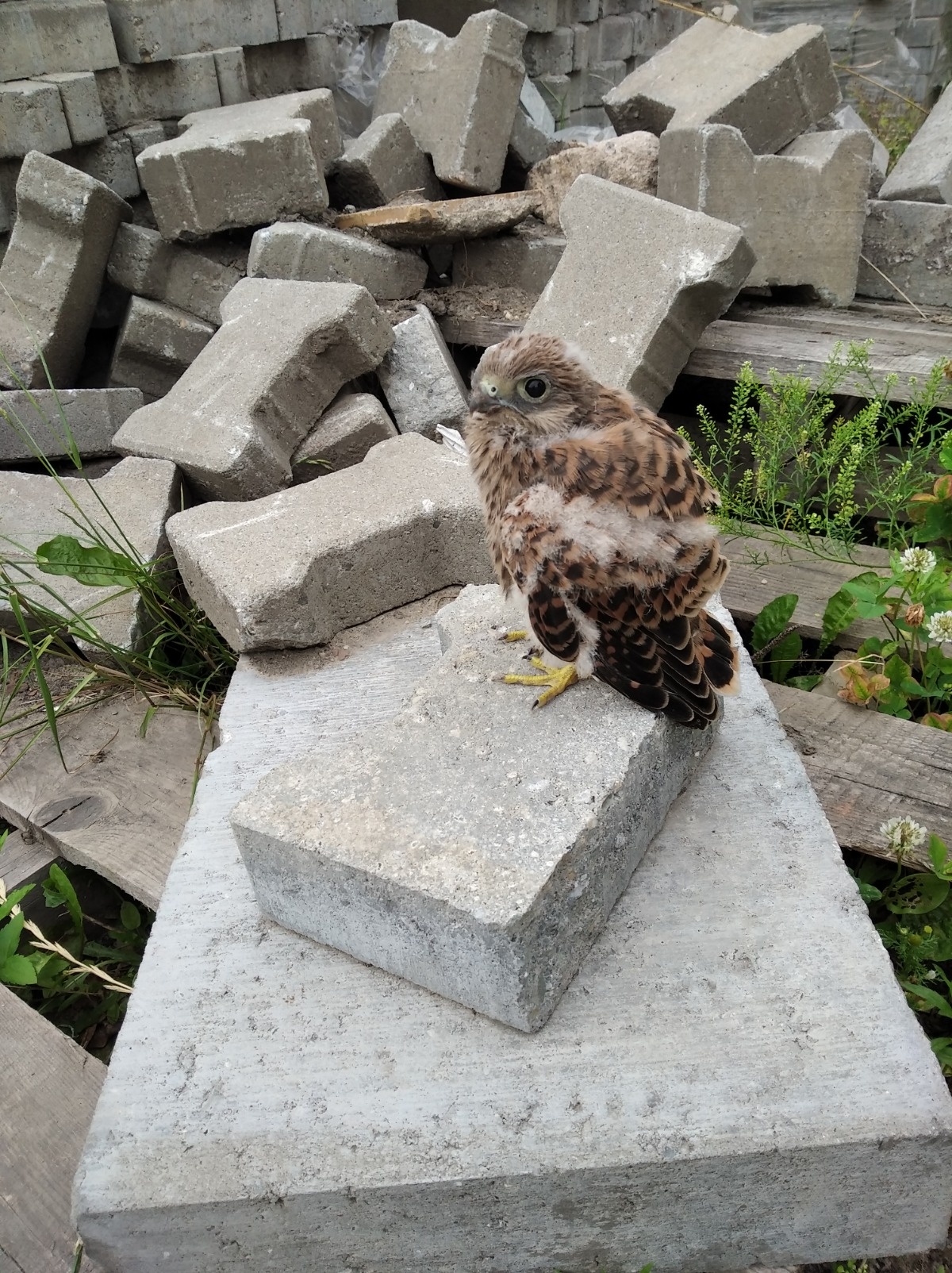 65ef1e70-34dc-4452-99f9-7078c9fa2f06