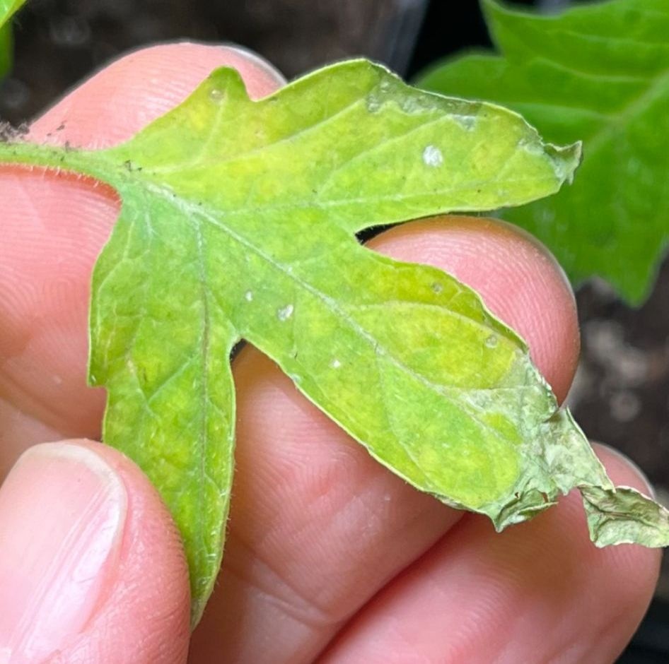 f17b4921-c804-470e-bb51-dc4b2c8c60ed