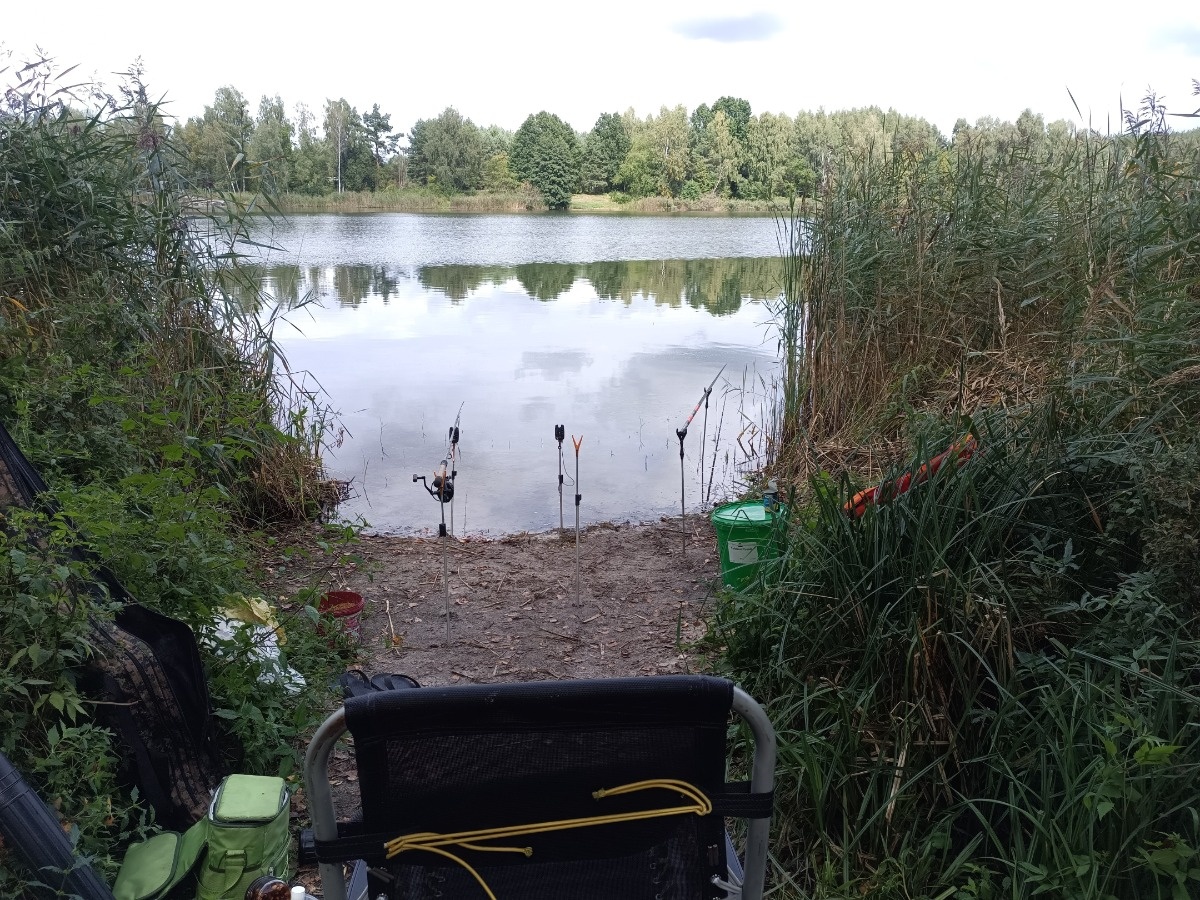 e14078f6-ac50-4f51-86b5-e91a8e0d5118