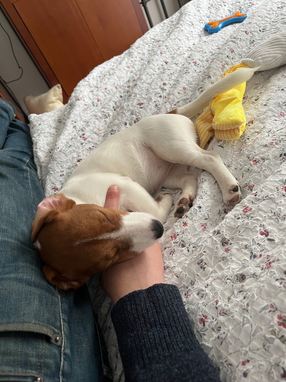 64954b58-58bd-4a00-b4d7-15fc2e0c3f8b