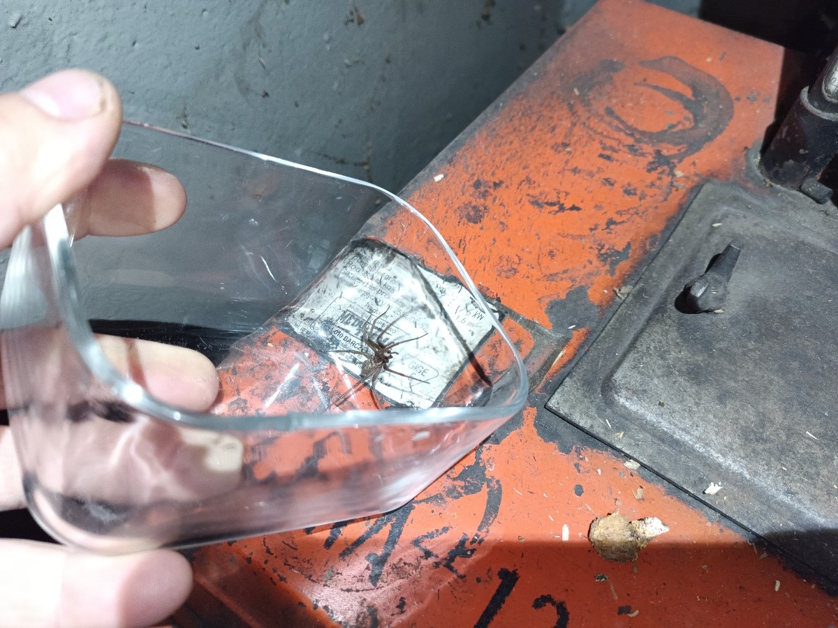 e5b808b0-1a94-40f3-9b5a-d61e098e7440