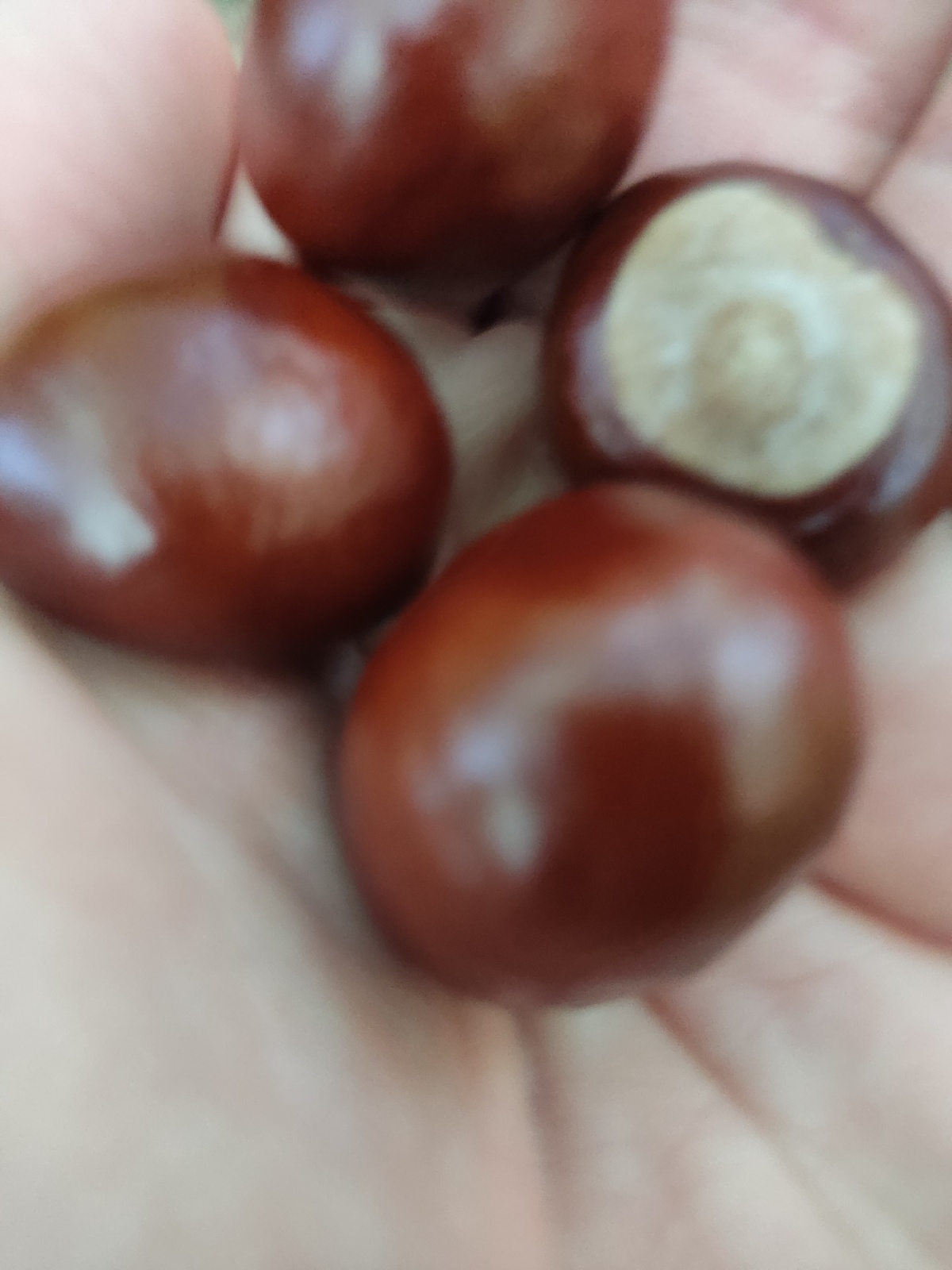 3d889a64-8c51-4b5a-aafa-94c1c5d0392f