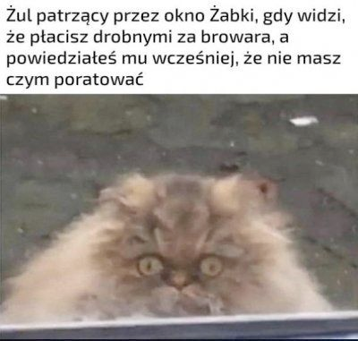 e6449666-7549-42c1-81cb-72b86a22e44f