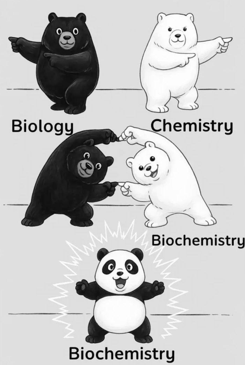 2f700887-f1be-45ec-b5a6-383f04a07abf