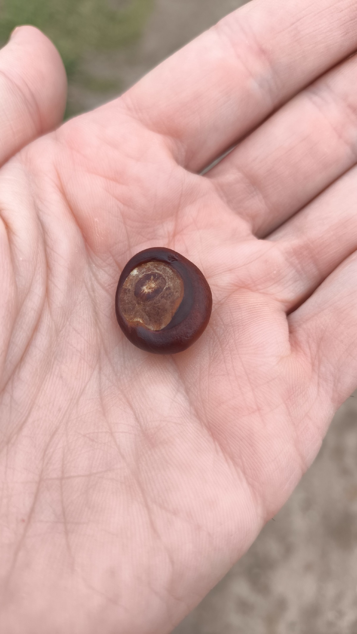 a5ec0ab1-9503-418a-94c2-f1ee77bd1c05