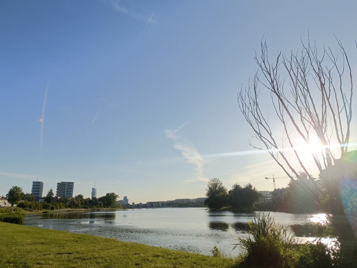 1dbf8131-6fbd-4902-8ecb-6194db440428