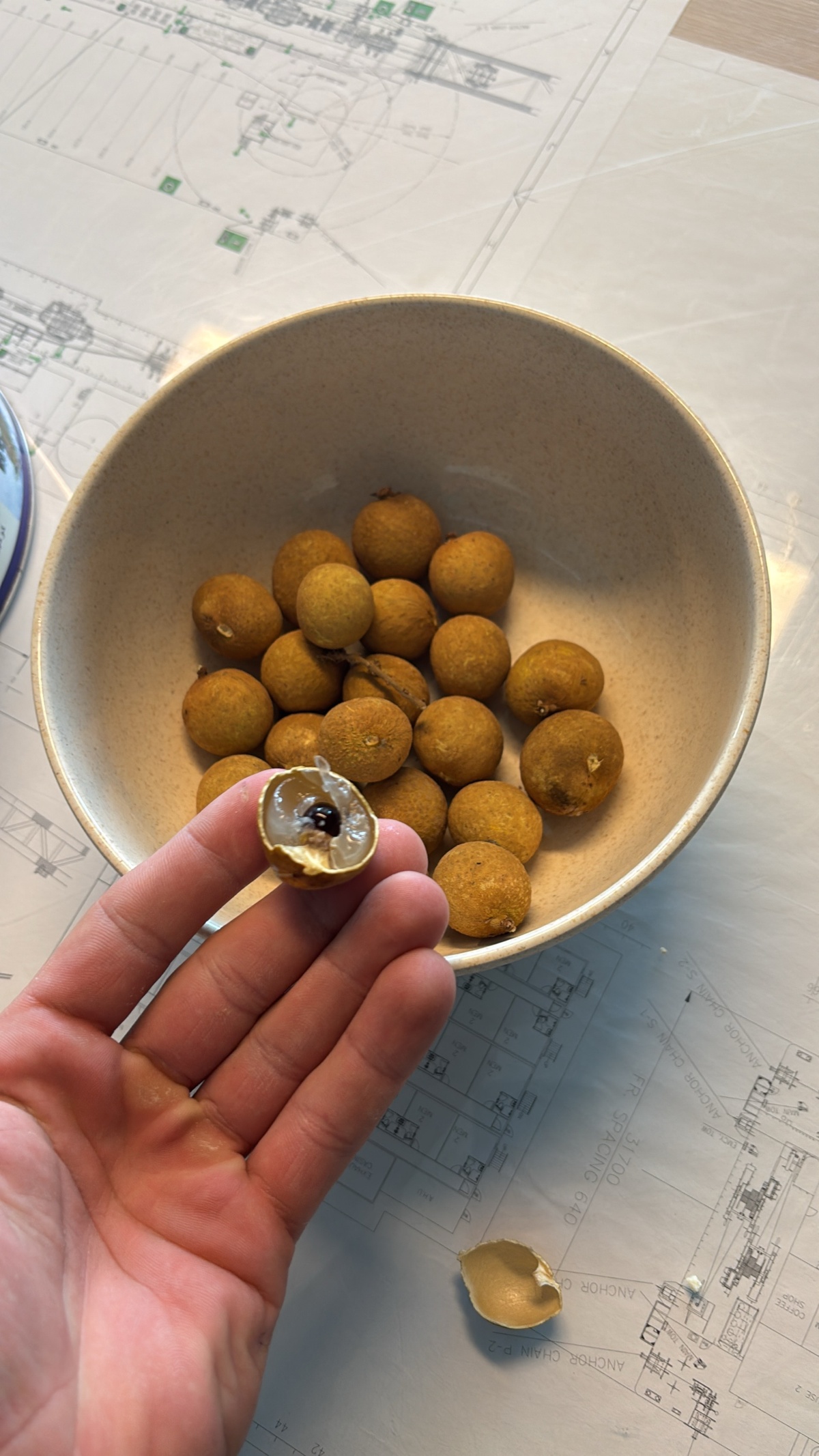 adeec6cd-73b1-479d-932b-73cb3047b419