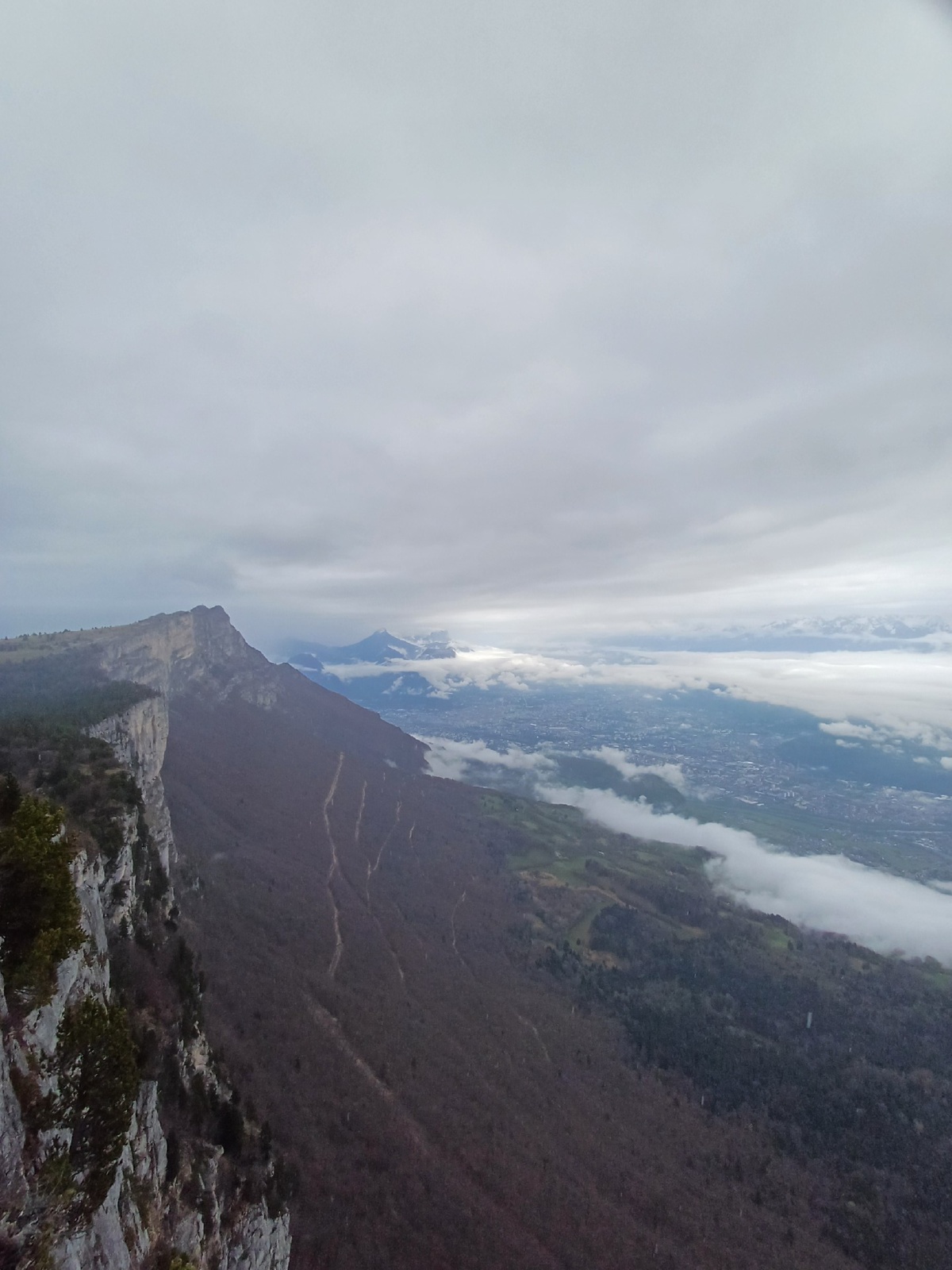 fea2c44a-e01d-4d41-a227-bf8e5d643d6a