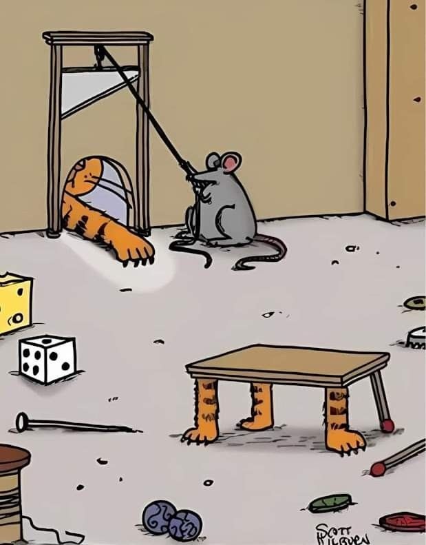 d5419497-3975-4eaa-abe0-407584eecb02