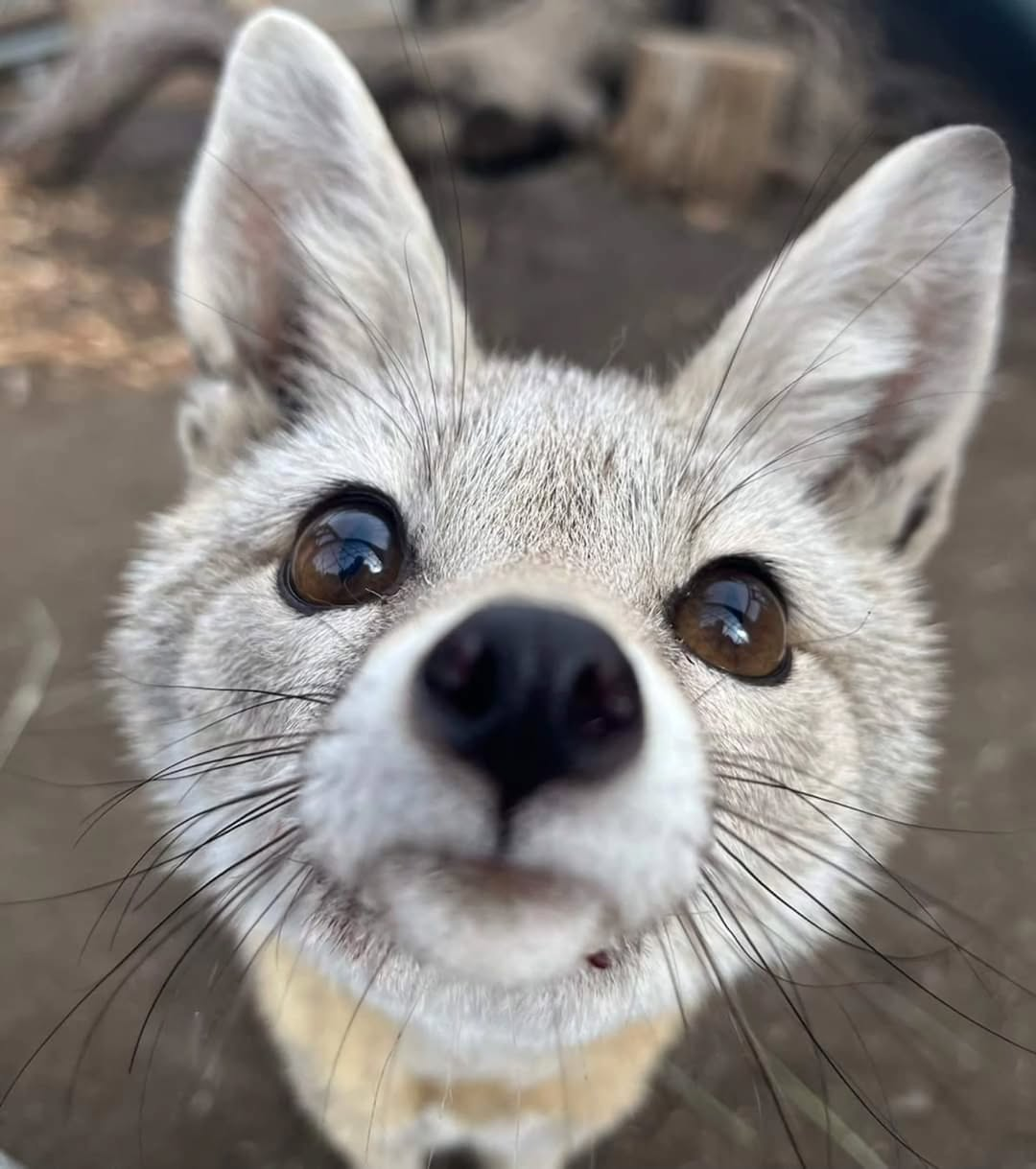 52c054c9-f5ef-458e-a1c6-8986489f067c