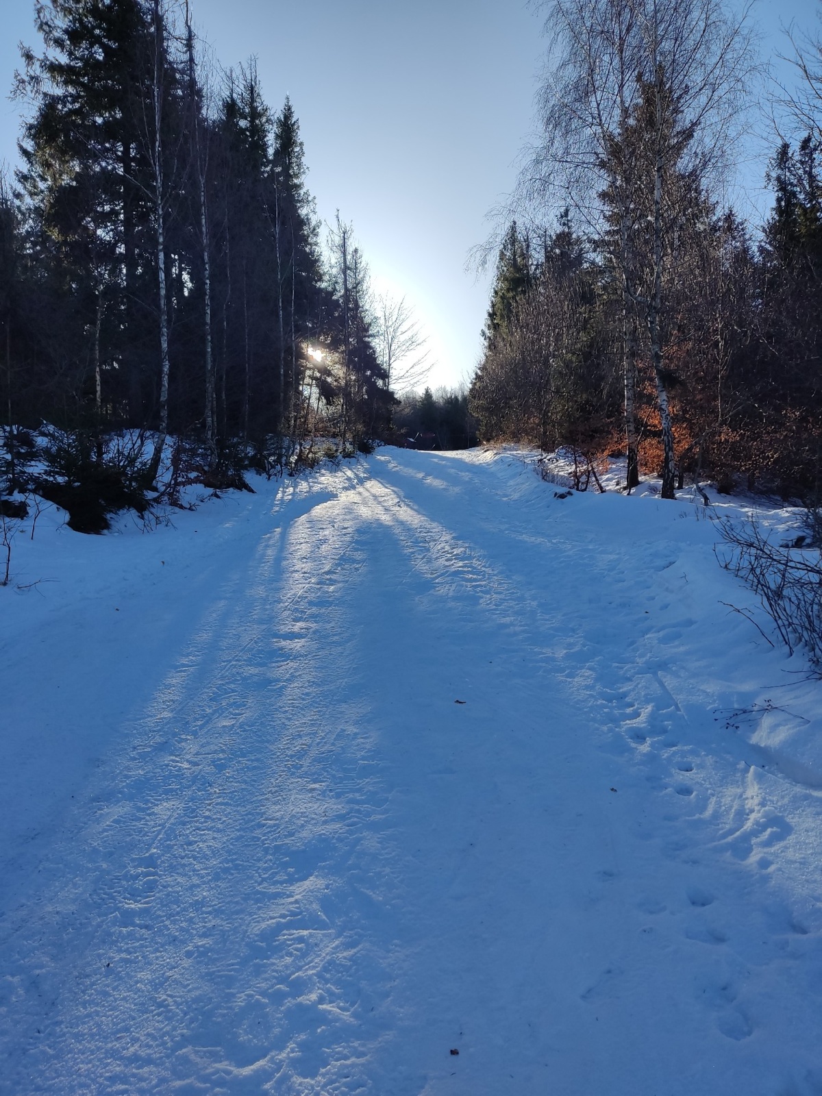 f2b4b23c-3fa3-4e50-924a-6e5dc13844a0