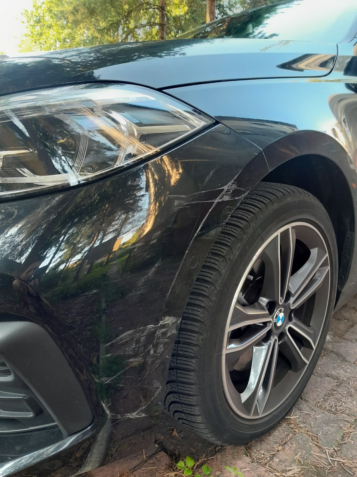 8bdae2e6-d995-4fbf-9077-00d11b59c5f8