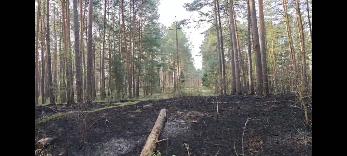 3bde2e91-36f6-4019-ab91-5b42c749c0a1