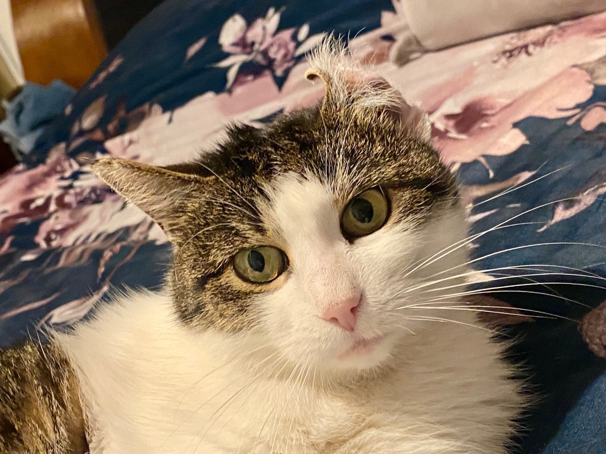 3f8b9ca7-bbf6-47d2-8714-7726546d36a6