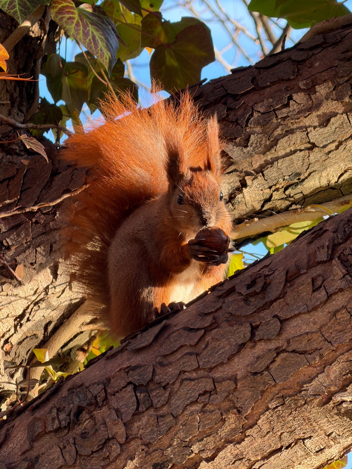 c4ca4db1-466f-4b89-acb1-dde8df706f2e