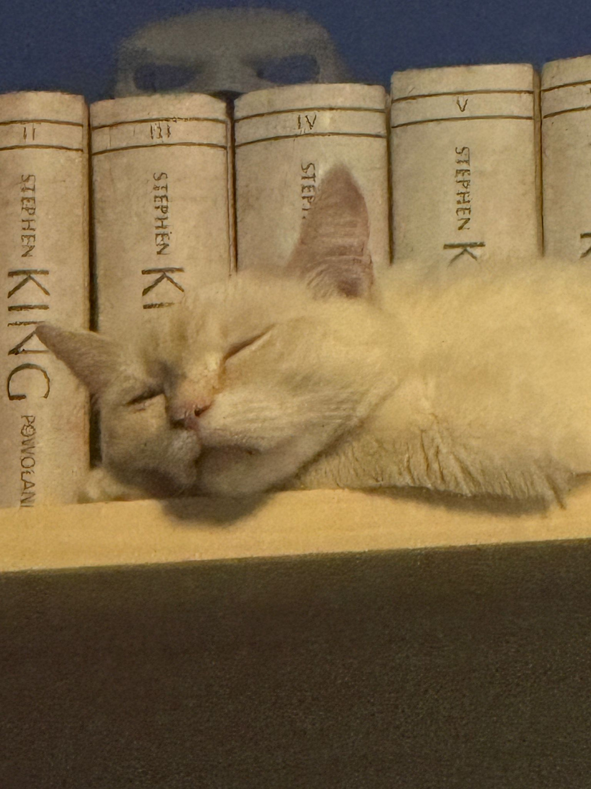 ef97a2ef-3c50-4bfa-adb3-cf35596f5212