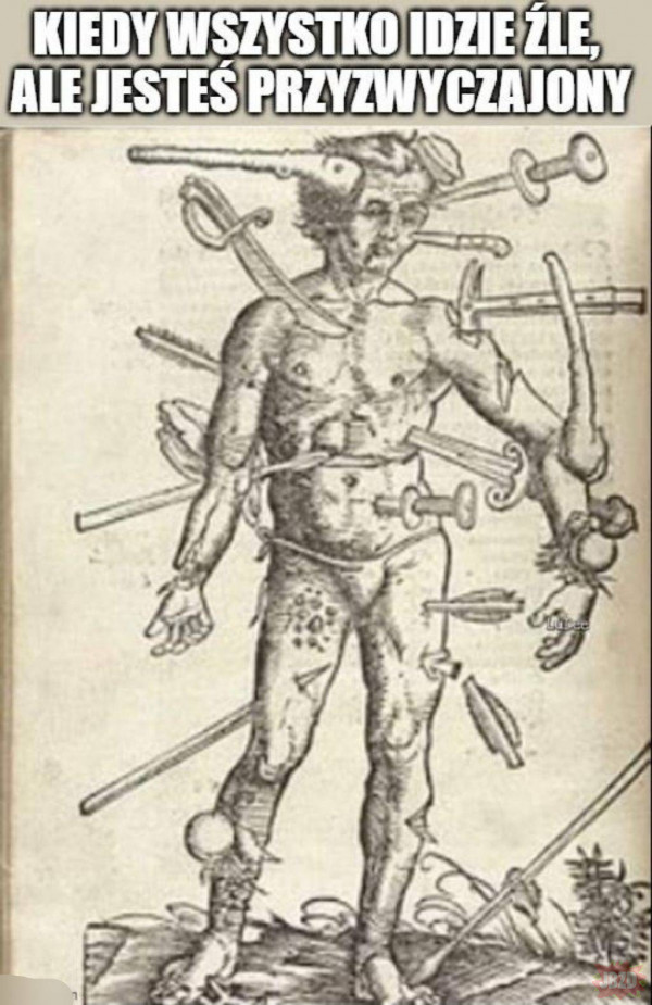 a5e4c502-9610-44ae-9a39-d2d96183cf87