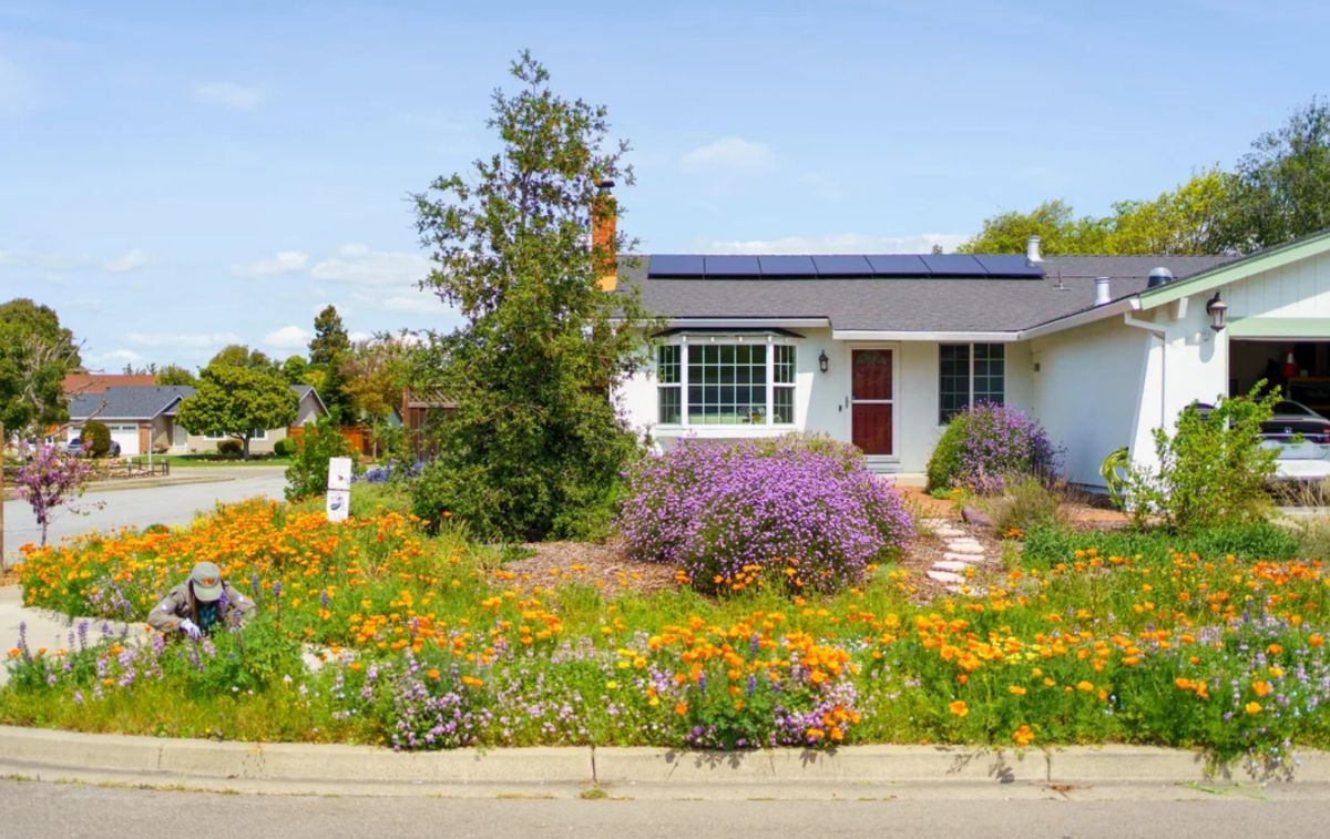 c35beb5d-484a-4446-96e1-9109d7cedaff