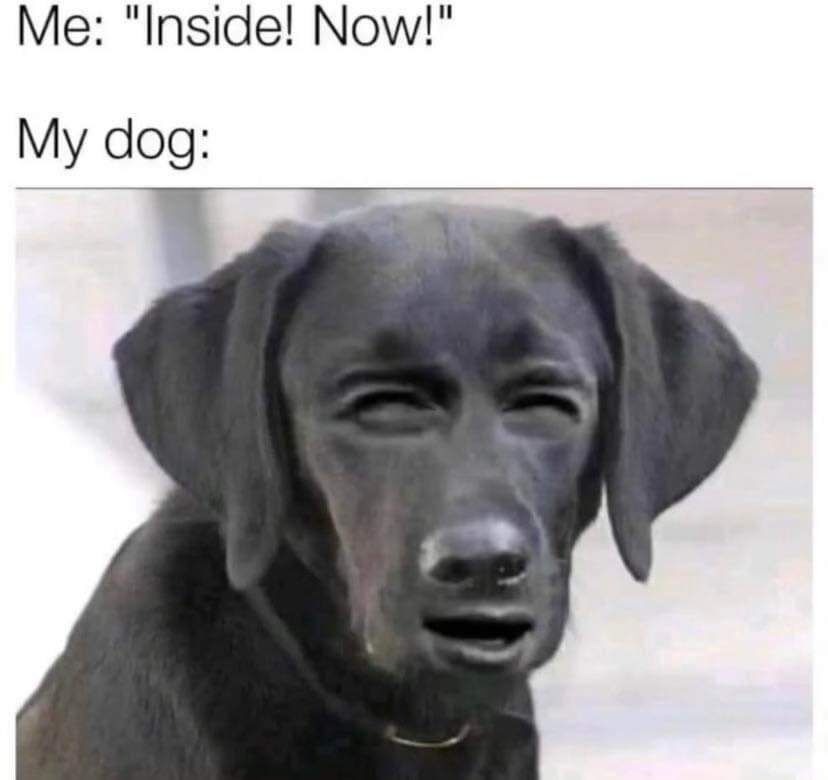 2bab535d-e5a8-4b35-b773-ceb7e924973f