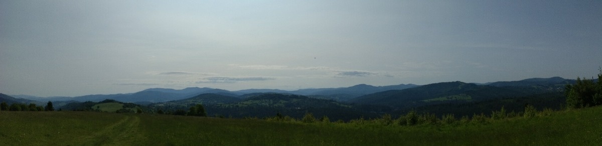 c1c076f5-fc64-4b51-9a84-68794205870e